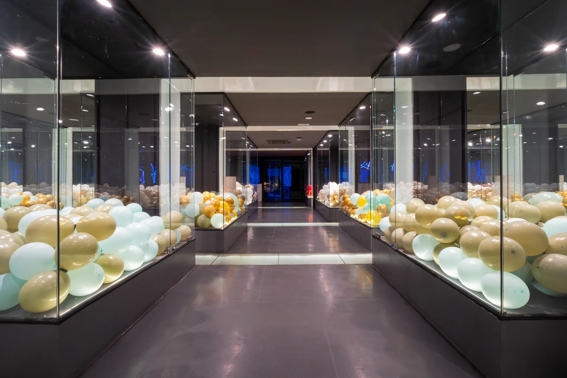 Gallery - zona de bienvenida con escaparates y luz natural